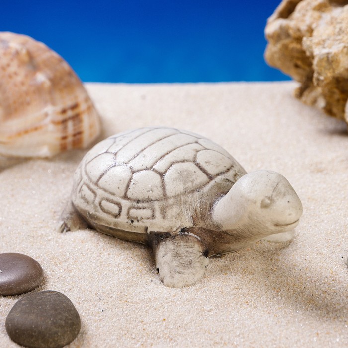 Декорация для аквариума "Черепаха", серая, 3х5х2 см
Декорация для аквариума "Черепаха", серая, 3х5х2 см