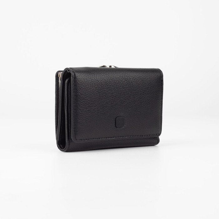 Кошелёк на магнитах, цвет чёрный
Кошелёк на магнитах, цвет чёрный