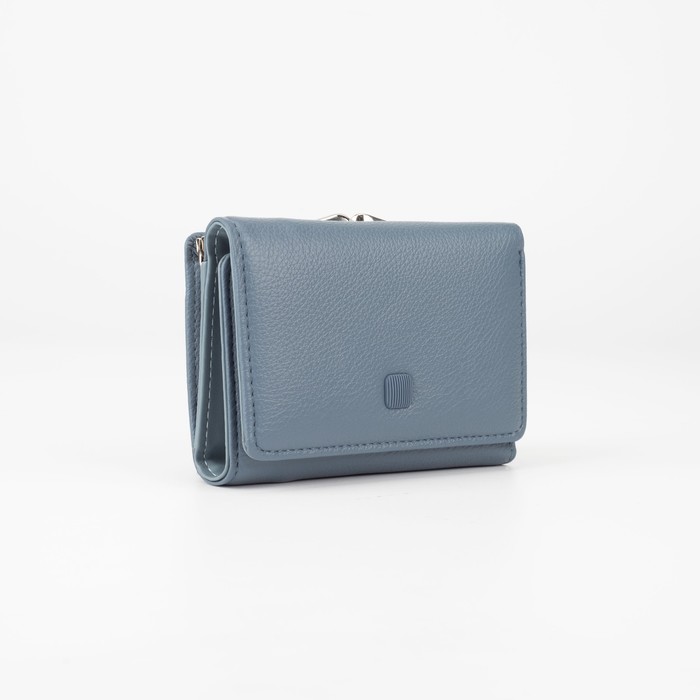 Кошелёк на магнитах, цвет синий
Кошелёк на магнитах, цвет синий