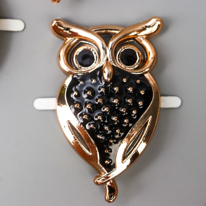 Брадс для творчества пластик "Филин" золото с чёрным 4,8х2,8х0,3 см
Брадс для творчества пластик "Филин" золото с чёрным 4,8х2,8х0,3 см