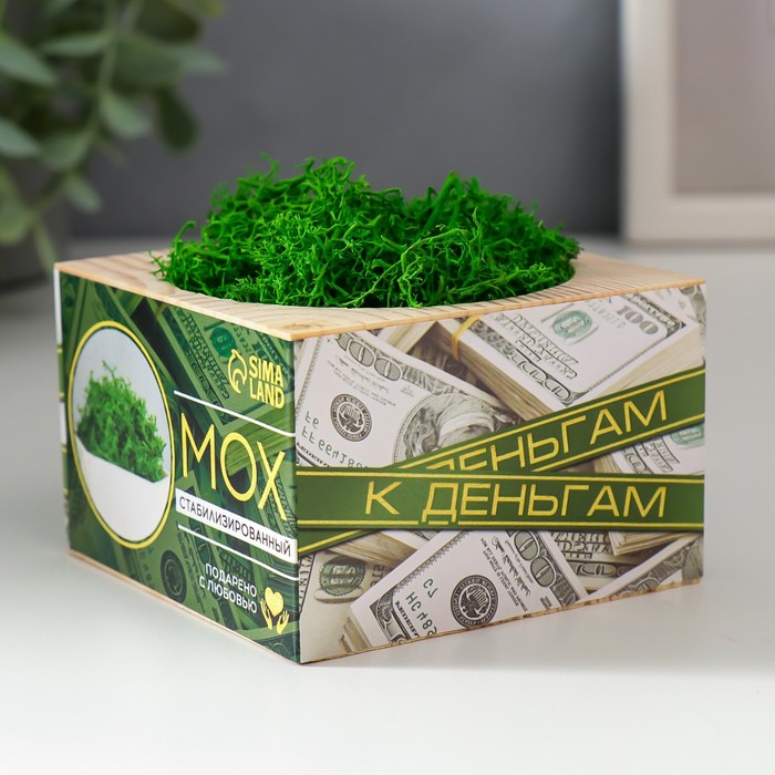 Кашпо со стабилизированным мхом "К деньгам"
Кашпо со стабилизированным мхом "К деньгам"