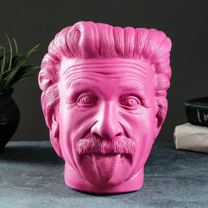 Кашпо - органайзер "Эйнштейн" фиолетовая, 21х18х19см
Кашпо - органайзер "Эйнштейн" фиолетовая, 21х18х19см