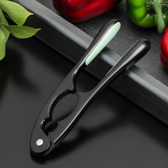 Орехокол «Нежность», 17,5×4,5 см, цинковый сплав
Орехокол «Нежность», 17,5×4,5 см, цинковый сплав