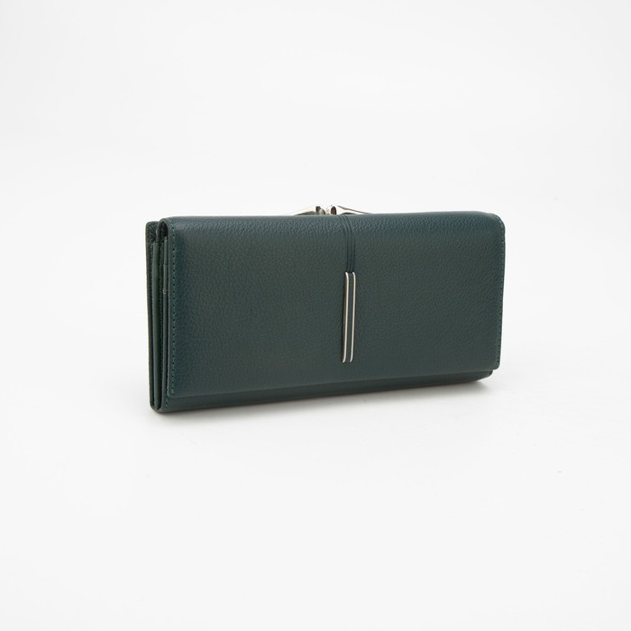 Кошелёк на магнитах, цвет зелёный
Кошелёк на магнитах, цвет зелёный