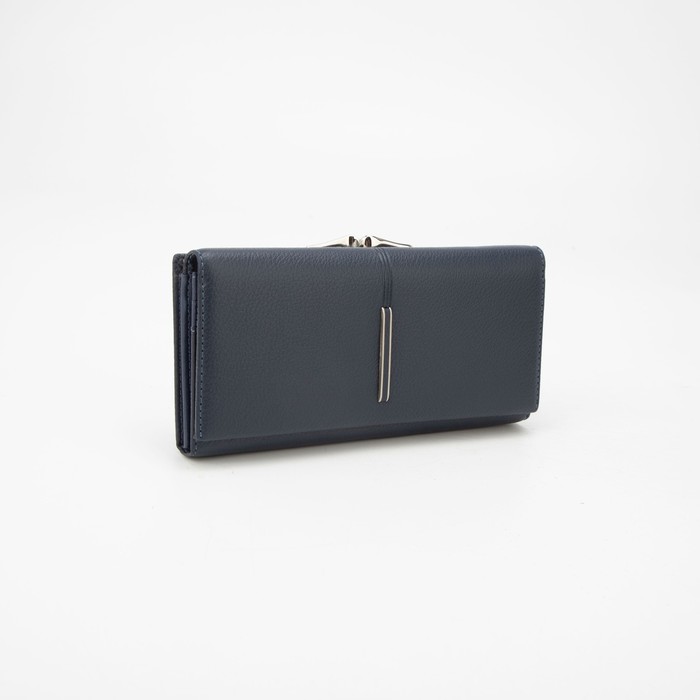 Кошелёк на магнитах, цвет синий
Кошелёк на магнитах, цвет синий