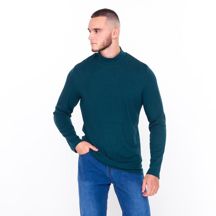 Водолазка мужская, цвет зелёный, размер 56
Водолазка мужская, цвет зелёный, размер 56