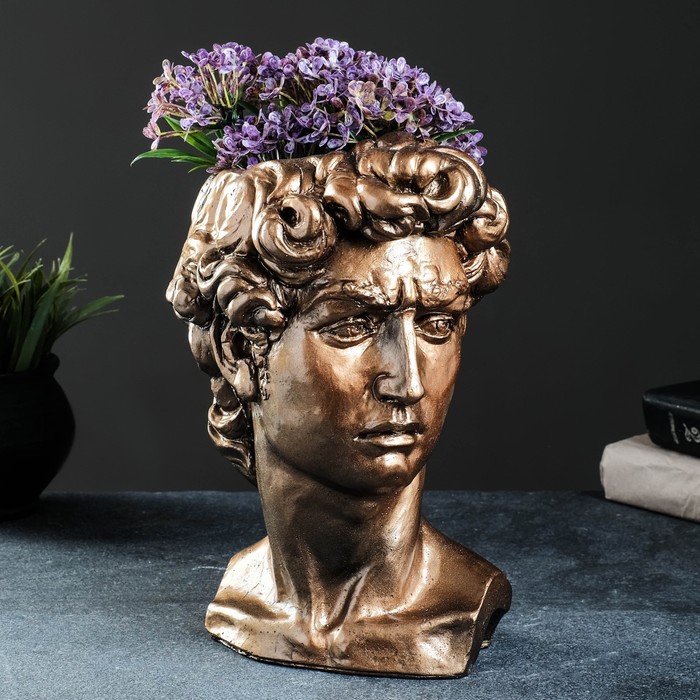 Кашпо - органайзер "Голова Давида" бронза, 19х27х17см 
Кашпо - органайзер "Голова Давида" бронза, 19х27х17см