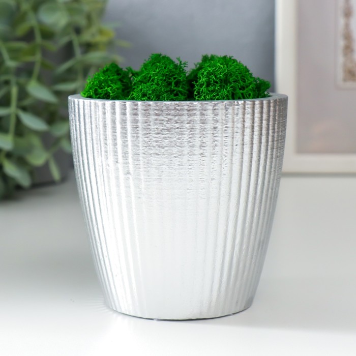 Кашпо бетонное "Красота" высота 8 см серебристое со мхом (мох зеленый стабилизированный)
Кашпо бетонное "Красота" высота 8 см серебристое со мхом (мох зеленый стабилизированный)