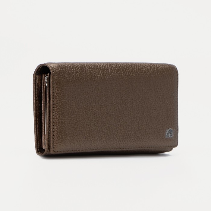 Кошелёк на магнитах, цвет бронзовый
Кошелёк на магнитах, цвет бронзовый