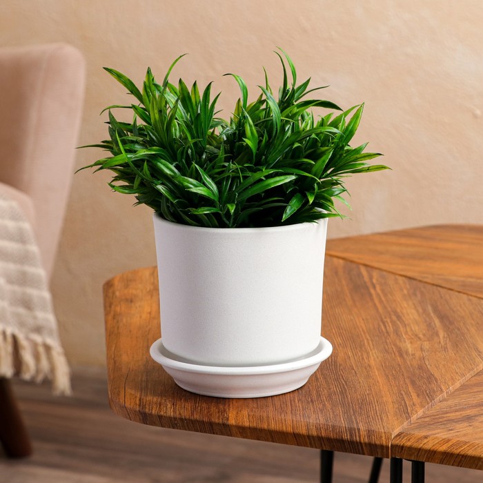 Горшок для цветов "Мальва", крошка белая, 1.2 л
Горшок для цветов "Мальва", крошка белая, 1.2 л