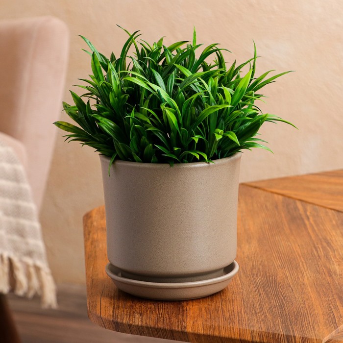 Горшок для цветов "Мальва", крошка капучино, 1.2 л
Горшок для цветов "Мальва", крошка капучино, 1.2 л