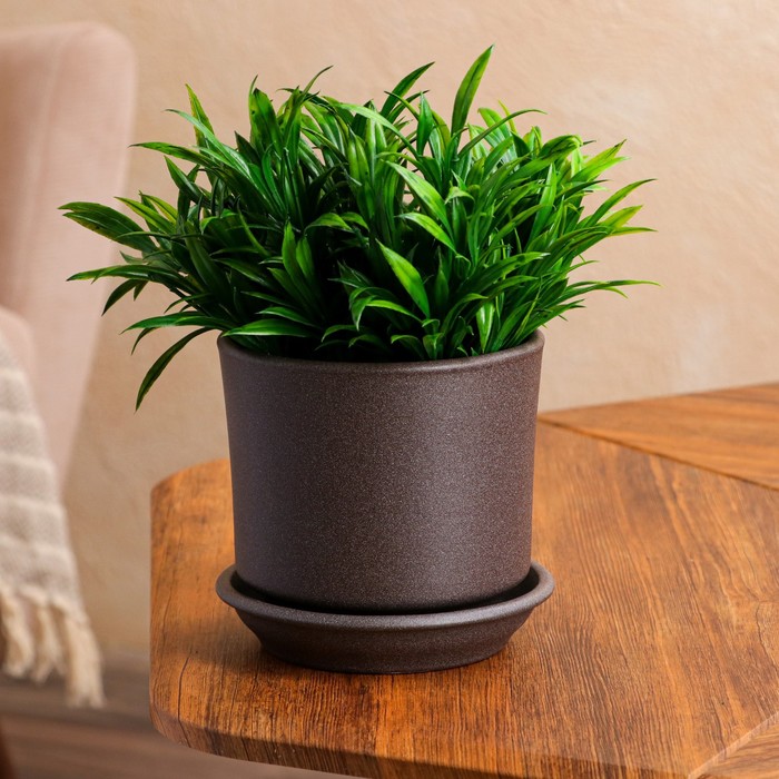 Горшок для цветов "Мальва", крошка серая, 1.2 л
Горшок для цветов "Мальва", крошка серая, 1.2 л