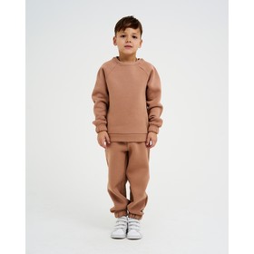 Костюм детский с начёсом (джемпер, брюки) KAFTAN "Basic line" р.34 (122-128), кофе
Костюм детский с начёсом (джемпер, брюки) KAFTAN "Basic line" р.34 (122-128), кофе