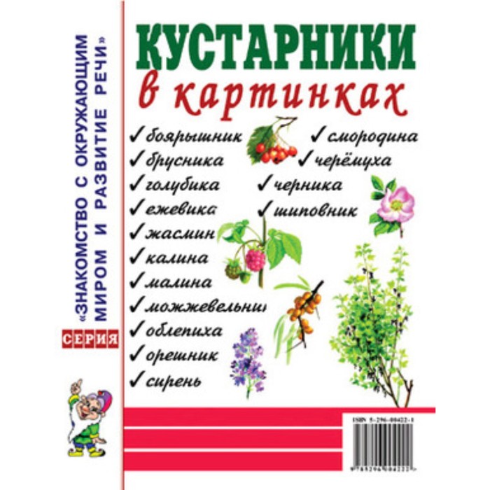 Кустарники в картинках. Наглядное пособие для педагогов, логопедов, воспитателей и родителей
Кустарники в картинках. Наглядное пособие для педагогов, логопедов, воспитателей и родителей