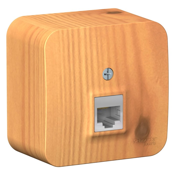 Розетка компьютерная SE Blanca, RJ45, накладная, IP20, ясень, BLNIA045005 
Розетка компьютерная SE Blanca, RJ45, накладная, IP20, ясень, BLNIA045005