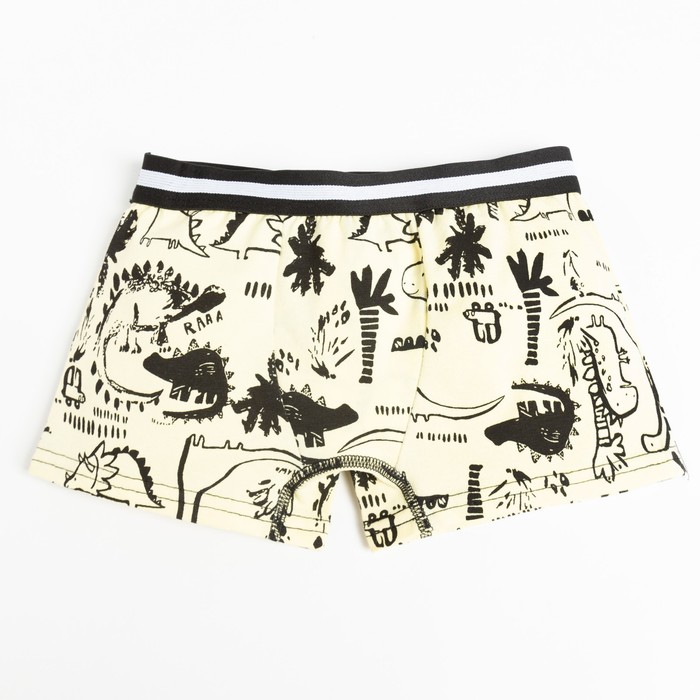 Трусы-боксеры для мальчика, цвет зелёный/животные, рост 104 см
Трусы-боксеры для мальчика, цвет зелёный/животные, рост 104 см
