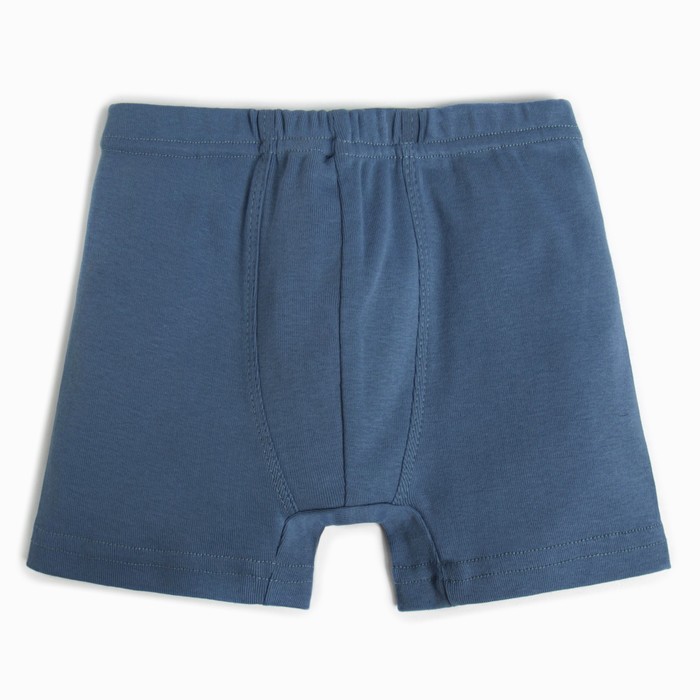 Трусы-боксеры для мальчика, цвет голубой, рост 140 см
Трусы-боксеры для мальчика, цвет голубой, рост 140 см