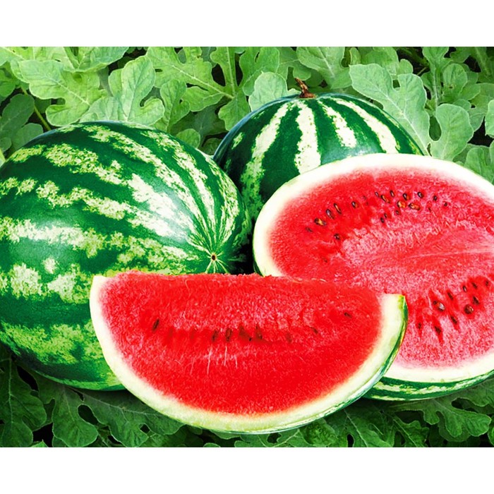 Арбуз Астраханский, 200 г
Арбуз Астраханский, 200 г