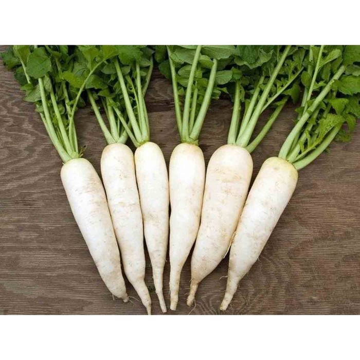 Редис Осенний гигант, 1 кг
Редис Осенний гигант, 1 кг