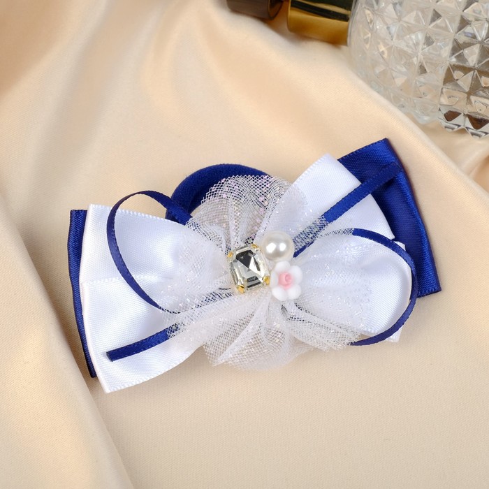 Резинка для волос бант "Школьница" цветок блеск бусины, 8х4 см, бело-синий
Резинка для волос бант "Школьница" цветок блеск бусины, 8х4 см, бело-синий