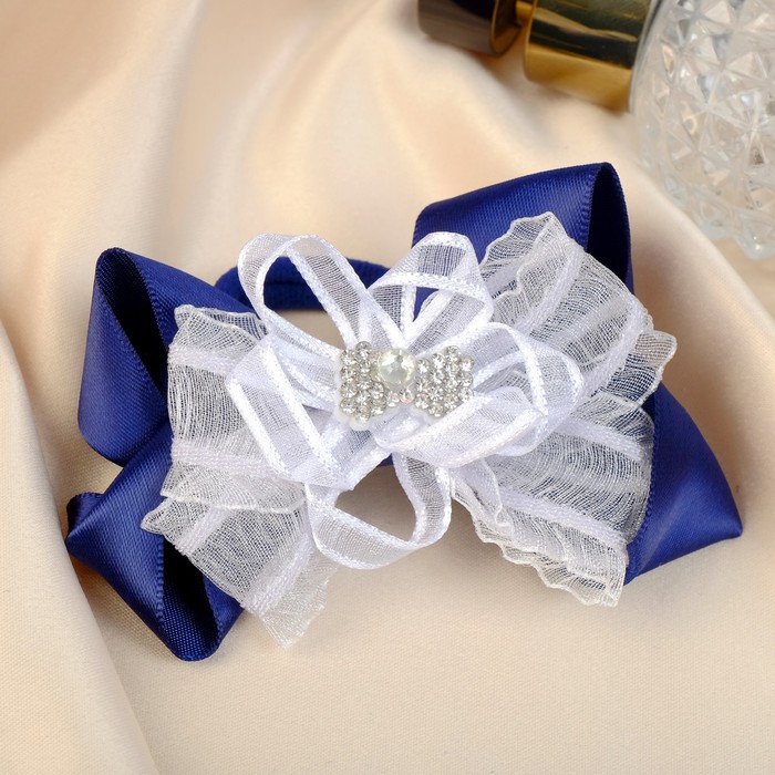 Резинка для волос бант "Школьница" сверкание полосы, 8х4 см, бело-синий
Резинка для волос бант "Школьница" сверкание полосы, 8х4 см, бело-синий