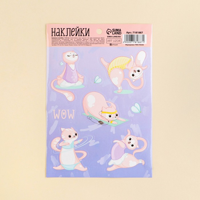 Наклейки бумажные «Спортсменка», 11 × 16 см
Наклейки бумажные «Спортсменка», 11 × 16 см