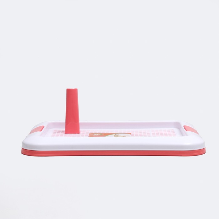 Туалет для собак с сеткой и столбиком, 49 х 35 х 4,5 см, розовый
Туалет для собак с сеткой и столбиком, 49 х 35 х 4,5 см, розовый