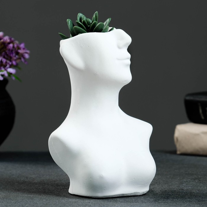 Кашпо - ваза "Женский бюст" белый, 9х12,3см
Кашпо - ваза "Женский бюст" белый, 9х12,3см