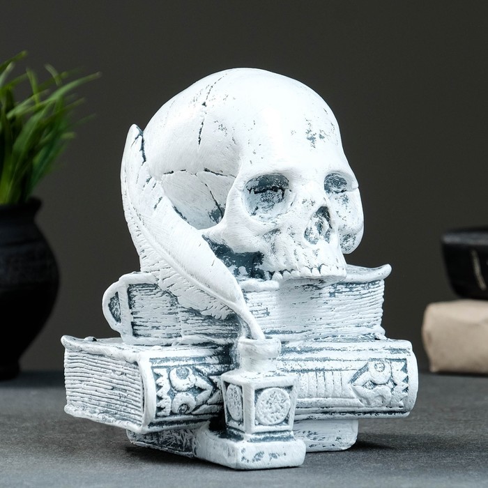 фото Фигура "череп с книгой" серый камень, 19см хорошие сувениры