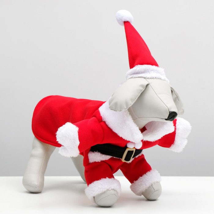 Новогодний костюм для собак "Клаус", M (ДС 30, ОГ 36, ОШ 28 см)
Новогодний костюм для собак "Клаус", M (ДС 30, ОГ 36, ОШ 28 см)