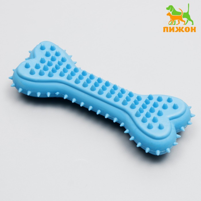Игрушка жевательная литая "Кость для массажа", 11 х 4 х 2 см, голубая
Игрушка жевательная литая "Кость для массажа", 11 х 4 х 2 см, голубая