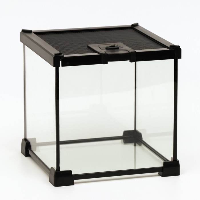 Террариум для рептилий 8 л, с креплением для предотвращения побега, 20 х 20 х 20 см
Террариум для рептилий 8 л, с креплением для предотвращения побега, 20 х 20 х 20 см