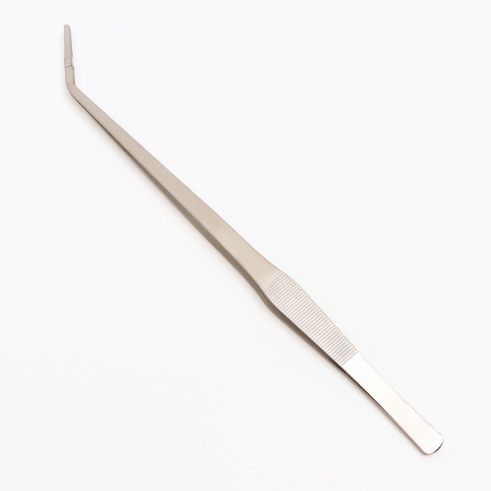 Пинцет для террариума NomoyPet из нержавеющей стали, изогнутый, 38 см
Пинцет для террариума NomoyPet из нержавеющей стали, изогнутый, 38 см