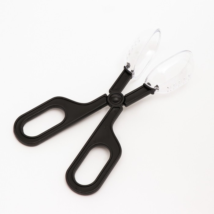 Зажим для террариума, 18,5 х 6,8 х 0,6 см
Зажим для террариума, 18,5 х 6,8 х 0,6 см