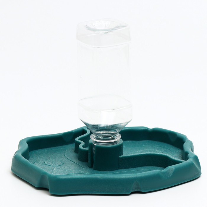 Поилка - кормушка 2 в 1 для террариума, 21 х 19,5 х 2 см, голубая
Поилка - кормушка 2 в 1 для террариума, 21 х 19,5 х 2 см, голубая