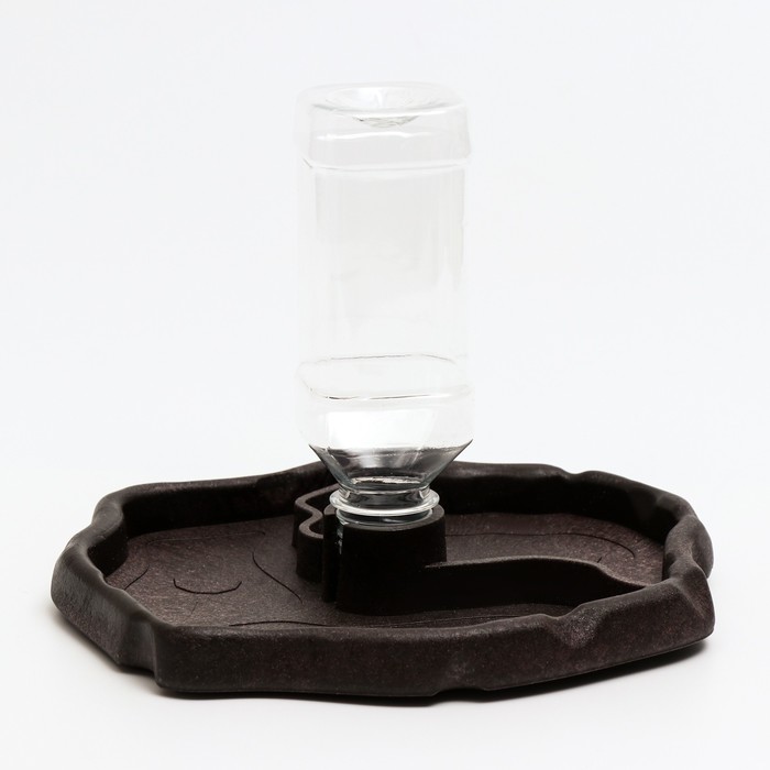 Поилка - кормушка 2 в 1 для террариума, 21 х 19,5 х 2 см, черная
Поилка - кормушка 2 в 1 для террариума, 21 х 19,5 х 2 см, черная