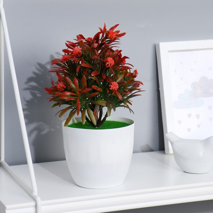 Бонсай в горшке "Калистемон" 20х10 см (высота горшка=8,5 см) микс
Бонсай в горшке "Калистемон" 20х10 см (высота горшка=8,5 см) микс