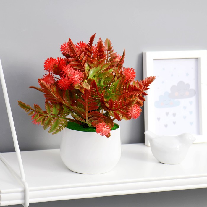 Бонсай в горшке "Альбиция" 9х20 см микс
Бонсай в горшке "Альбиция" 9х20 см микс