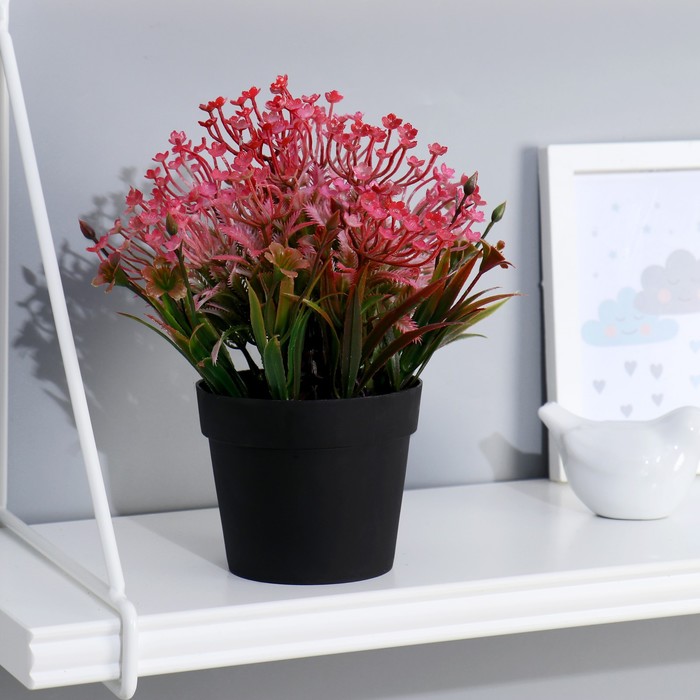 Бонсай в горшке "Мелкоцветье" 9х22 см микс
Бонсай в горшке "Мелкоцветье" 9х22 см микс