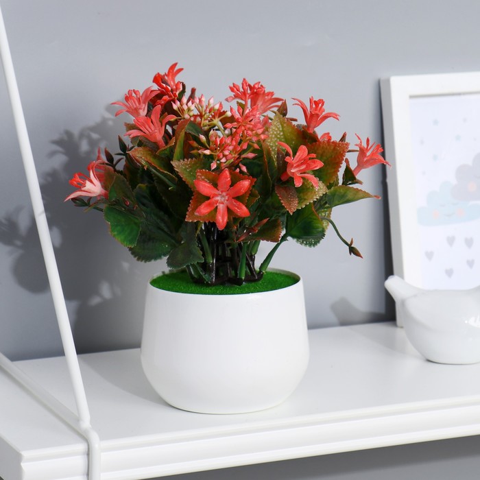 Бонсай в горшке "Мята цветущая" 9х20 см микс 
Бонсай в горшке "Мята цветущая" 9х20 см микс