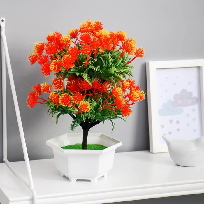 Бонсай в горшке "Каллистефус" 12х23 см микс
Бонсай в горшке "Каллистефус" 12х23 см микс