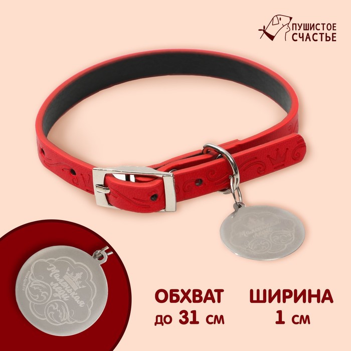 Ошейник с подвесом «Маленькая леди» 31x1 см, красный
Ошейник с подвесом «Маленькая леди» 31x1 см, красный