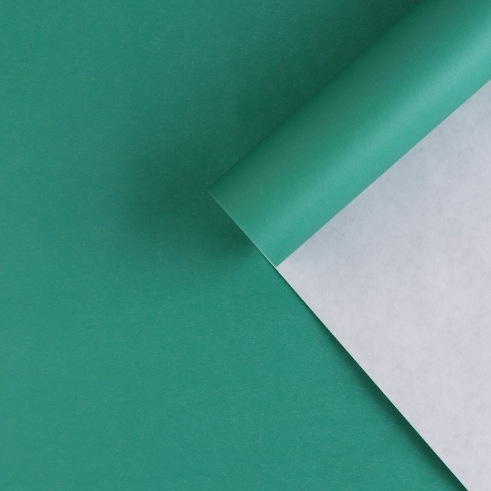 Бумага упаковочная крафтовая «Изумрудная», 70 × 100 см
Бумага упаковочная крафтовая «Изумрудная», 70 × 100 см