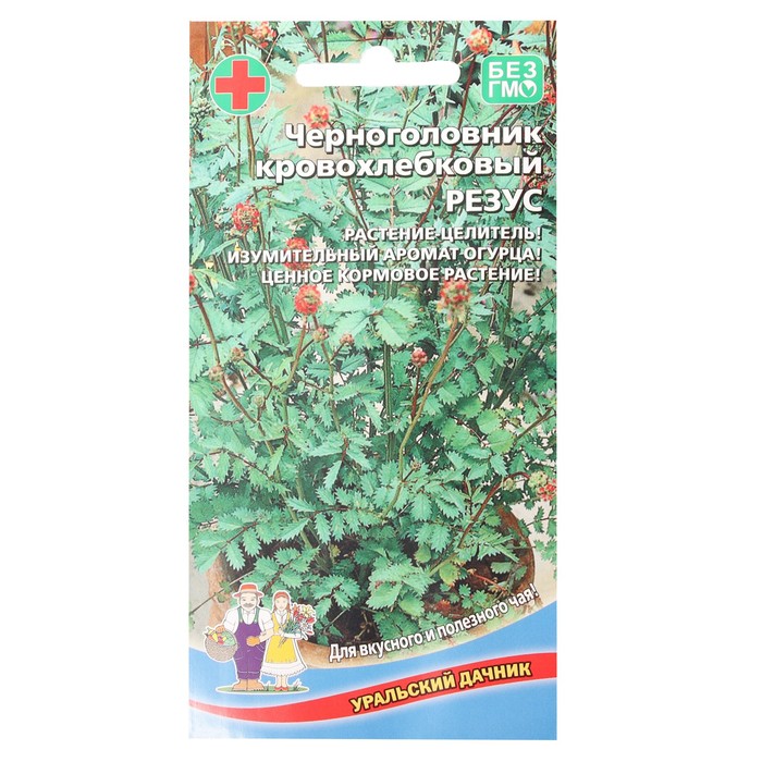 Семена Черноголовник кровохлебковый "Резус", 15 шт
Семена Черноголовник кровохлебковый "Резус", 15 шт