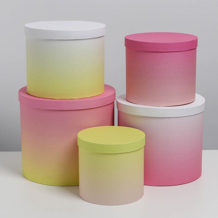 Набор коробок 5 в 1 «Градиент 1», 13 × 13,5‒19.5 × 23 см
Набор коробок 5 в 1 «Градиент 1», 13 × 13,5‒19.5 × 23 см