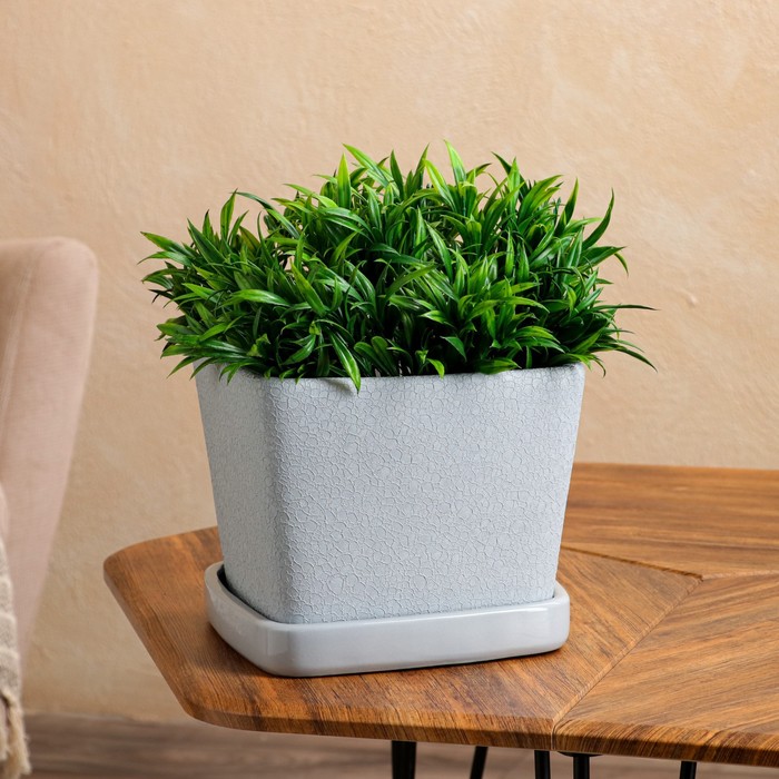 Горшок для цветов "Квадрат", серый, шелк, керамика, 6.5 л
Горшок для цветов "Квадрат", серый, шелк, керамика, 6.5 л