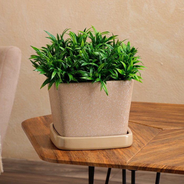 Горшок для цветов "Квадрат", капучино, шелк, керамика, 6.5 л
Горшок для цветов "Квадрат", капучино, шелк, керамика, 6.5 л