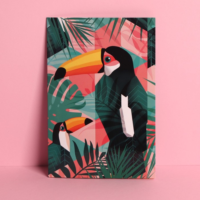 Открытка средняя «Тукан», 12 × 18 см
Открытка средняя «Тукан», 12 × 18 см