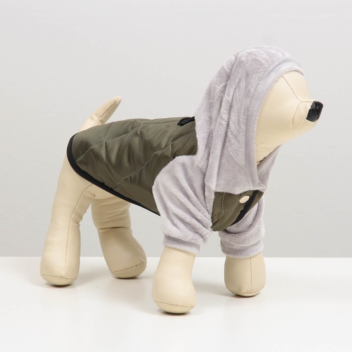 Куртка-бомбер для животных, S (ДС 20-22, ОШ 24-26, ОГ 32-34 см), серо-зеленая
Куртка-бомбер для животных, S (ДС 20-22, ОШ 24-26, ОГ 32-34 см), серо-зеленая