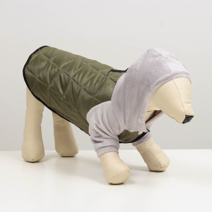 Куртка-бомбер, размер L ( дс 28-30 см, ош 28-30 см, ог 40-42 см), серо-зеленая
Куртка-бомбер, размер L ( дс 28-30 см, ош 28-30 см, ог 40-42 см), серо-зеленая